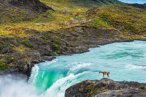 Tour privado Torres del Paine