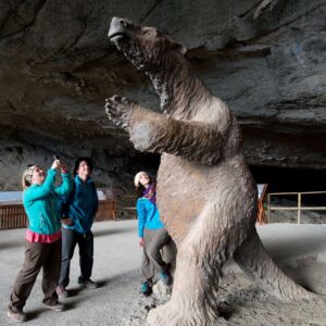 Tour Cueva del Milodon