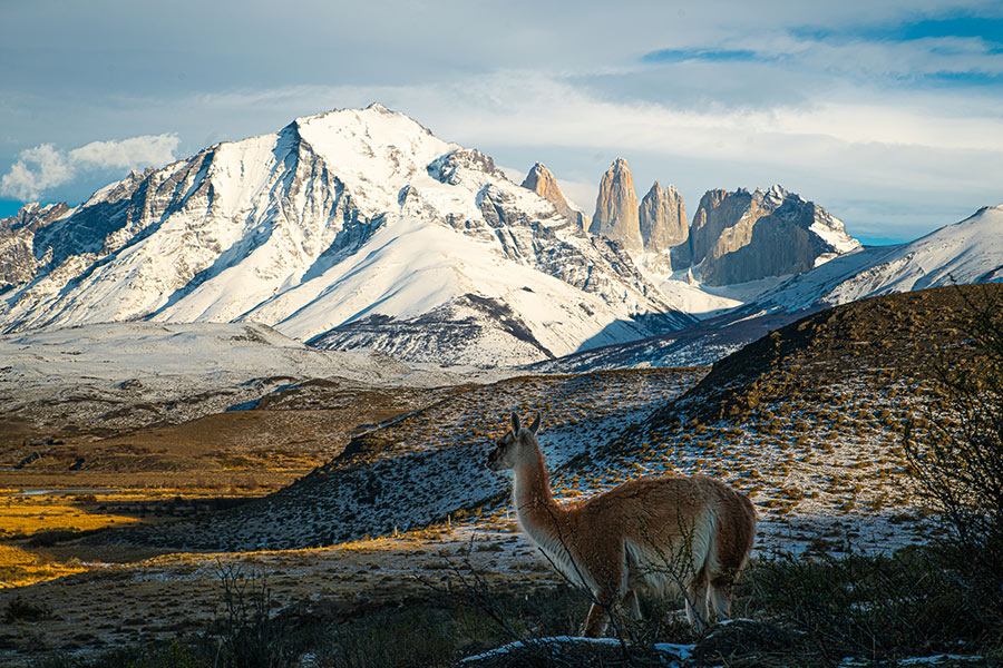 torres-del-paine-desde-puerto-natales-7